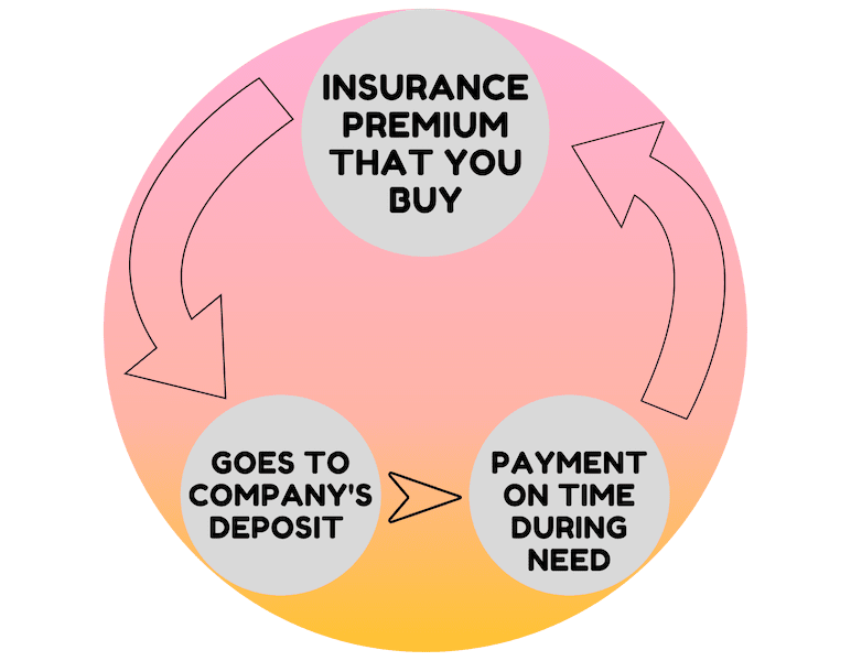 how insurance works